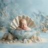 Newborn baby posed in a cosy floral nest, newborn photography Melbourne